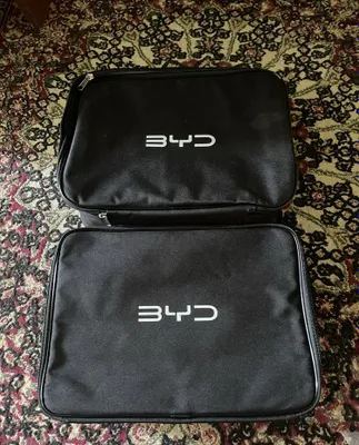 Оригинальное зарядное устройство BYD 1