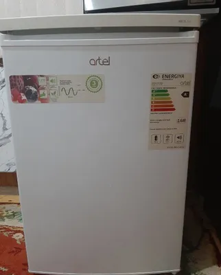Artel muzlatgichi 1