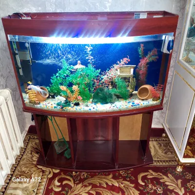 Аквариум продаётся срочно 1