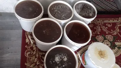 Qirgʻiziston tabiiy toza togʻ asallari