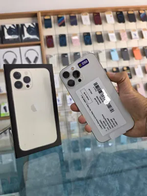 iPhone 13 ProMax (Silver)