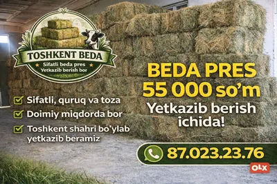 Beda pres | 45 000 so‘m | Yetkazib berish ichida | Toshkent bo‘ylab