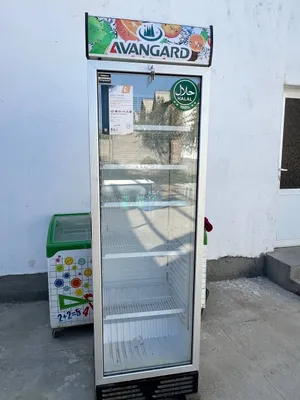 Awangard xaladilnik 1