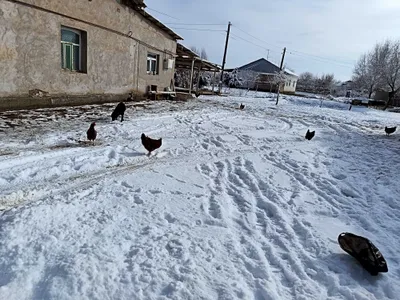 Үй сатылады бағасы келісімді 1