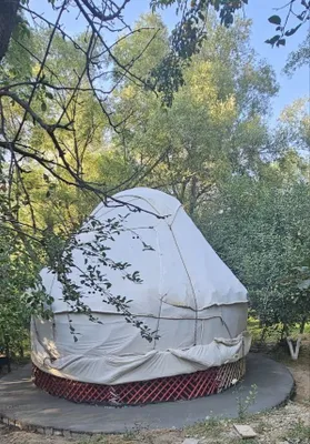 O‘TOV 5 qanotli sotiladi 1