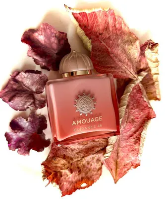 Amauge Guidace 46 1