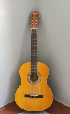 Akustik gitara. 1