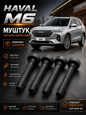 Haval M6 — наконечники катушки зажигания | Комплект 4 шт.