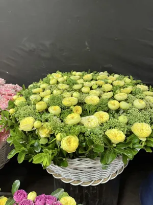 Корзины с натуральными цветами 1