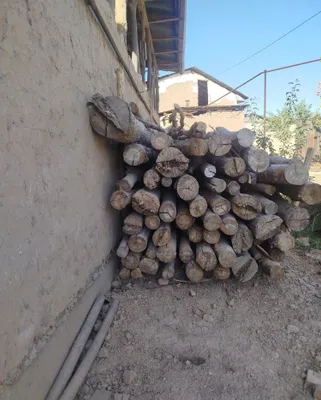 Tetak to'sin sotiladi. 1