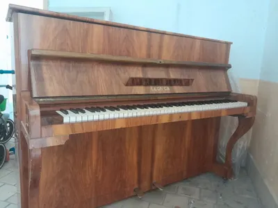 LEGNICA klassik pionino 1