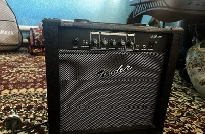 Комбоусилитель Fender DB-30 1