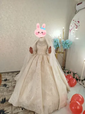 1 marta kiyilgan 100$olingan narxini kelishamz 1