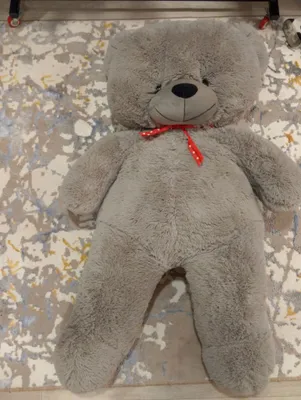 teddy ayiq 1