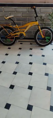 Velosiped Delfin 1