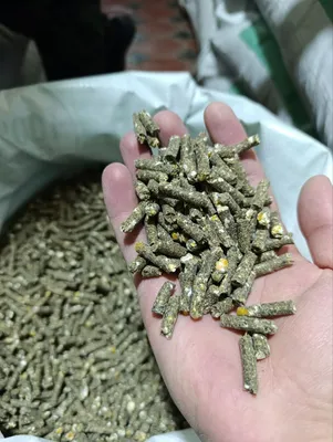 Качественный корм для скота 1