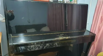 Belarus pianinosi 1