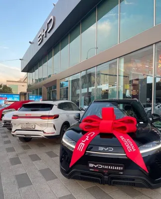 BYD Yuan Up Electric Full 1