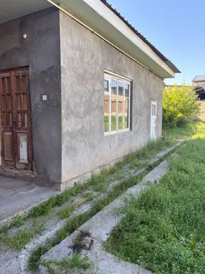 Назарбек, Туркистон 1