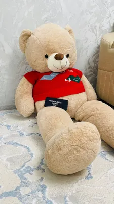 Teddy 1.6m Yangi:olingan kuniyoq strechlangan 3
