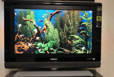 LCD Philips Ambilight 32PF9541/10 sotiladi 1