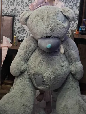 Katta Teddy ayiq sotiladi 1