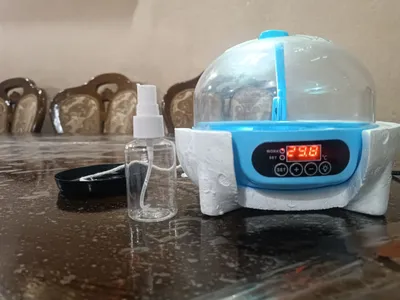 Inkubator kichkina 6 talik 1