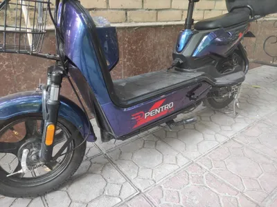 Sukutr hali 3 oy garantasi bor 1