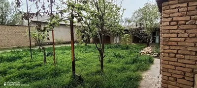 Продаю участок в Кибрае 1