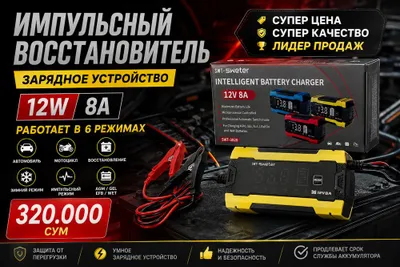 Teyes by Зарядное устройство для аккумулятора 12W 8A