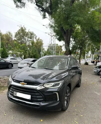 Tracker 2 Premier+, 2024 год 1
