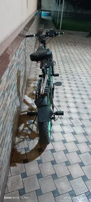 velik 26 holati yaxshi 1