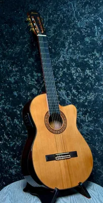 Гитара Ibanez 1