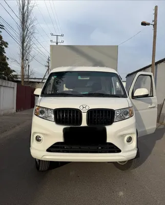 Shineray changan 1