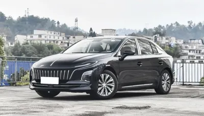 Hongqi E-QM5 Black and White 1
