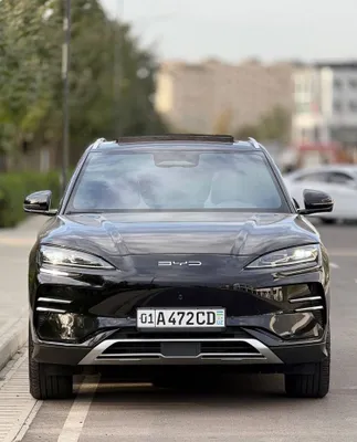 Byd champion smart 605km 1
