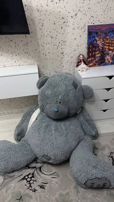 Katta Teddy ... 1