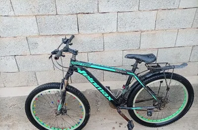 Velosiped: welomax 1