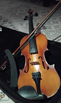 Musiqani oʻzingiz Kashf eating. Skripkamiz sotuvda 1