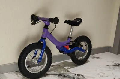 Беговел Puky LR Ride 1