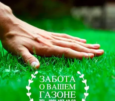 Забота о вашем газоне