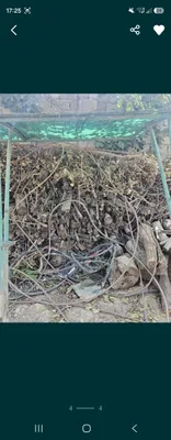 Договоримся о цене дров 1