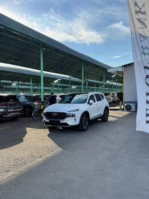 Hunday Santafe 2021–22