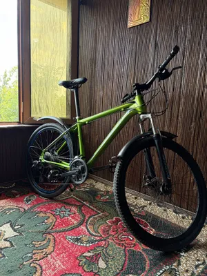 Velosiped, Vicnie honest xc 40 1