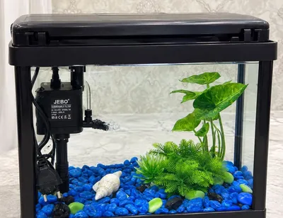 9 litrli akvarium