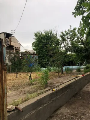 Продам землю Паркент дач.пос.Нилюфар 1