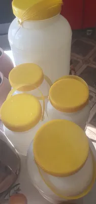 пластмас идиш