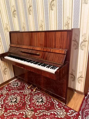 Pionina belarus 1