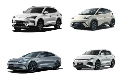 Тормозные колодки для BYD Xan Song Champion, E2, Seagull
