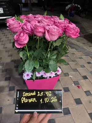 Свежие сегодняшние цветы 1